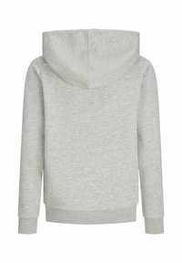 Light grey hoodie with long sleeves, ribbed cuffs, hem, and a hood, shown from the back on a white background.