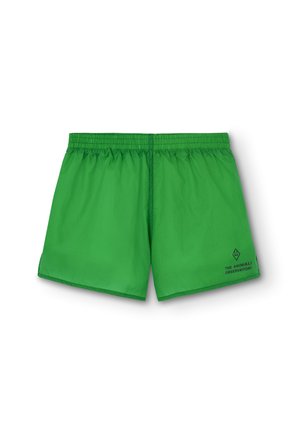 SPIDER UNISEX - Shorts - apple green