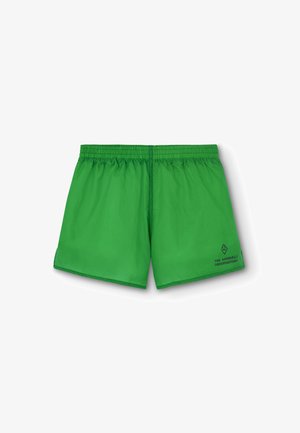 Shorts de bain verts avec une taille élastique et des fentes sur les côtés, arborant un logo noir en bas à droite. Matière lisse et légère.