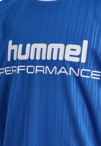 Blå polyester sportströja med vertikala ränder och "hummel PERFORMANCE"-logotyp i vitt. Slät textur med rund halsringning.