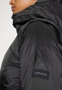 Personne portant une doudoune noire avec un col montant et un patch logo "Icepeak Since 1996" visible sur la manche supérieure.