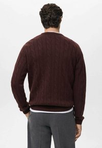 Bordeaux kabelgebreide trui met lange mouwen, geribbelde manchetten en zoom, en een gemêleerd patroon. Casual pasvorm, gezien vanuit de rug.