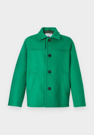 DONKEY JACKET - Könnyű dzseki - apple green