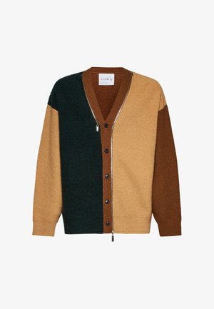 Cardigan lavorato a maglia con design a blocchi di colore in verde scuro, marrone e beige, con scollo a V, bottoni e dettaglio con zip.
