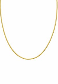 Gouden, gladde metalen ketting met een slank, afgerond ontwerp. Bevat een delicate ketting met een subtiele glans en zonder extra versieringen.