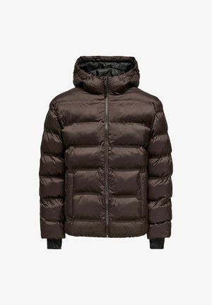 Giacca bomber marrone con chiusura a zip, cappuccio e polsini a coste. Presenta sezioni trapuntate per l'isolamento e una texture esterna liscia.