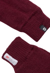 Bordeaux gestrickte Handschuhe mit einem strukturierten Muster. Mit 3M Thinsulate-Label und einem schwarzen Logoetikett ausgestattet. Warmes und isoliertes Design.