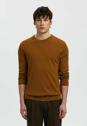 Jeune homme aux cheveux foncés portant un pull marron à manches longues et un pantalon sombre, debout devant un fond clair uni.
