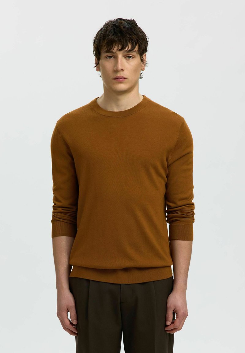 Jeune homme aux cheveux foncés portant un pull marron à manches longues et un pantalon sombre, debout devant un fond clair uni.
