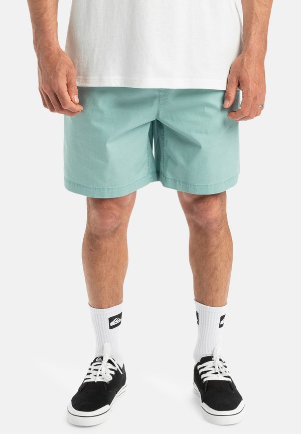 TAXER WS - Shorts - bgw