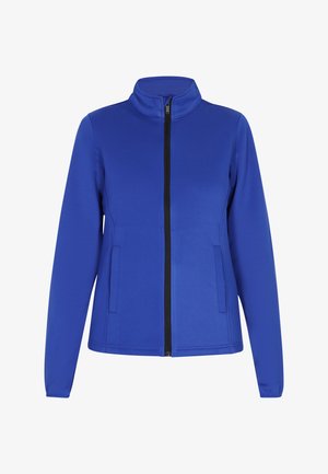 Blauwe jas met hoge kraag, ritssluiting aan de voorkant, lange mouwen en twee zijzakken. Gemaakt van soepel stof met een gestroomlijnd ontwerp.