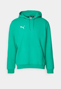 TEAMGOAL CASUALS HOODY - Sweat à capuche - sport green/white