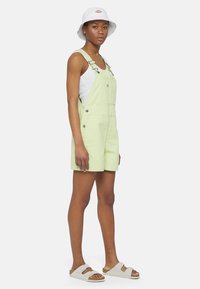 Dickies DUCK BIB  - Salopette - stone washed pale green