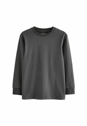 HEAVYWEIGHT REGULAR FIT - Camiseta de manga larga - charcoal grey