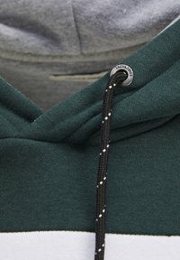 Felpa con cappuccio verde e bianca con una finitura testurizzata, dotata di un cordino nero con hardware finitura argento e una fodera interna grigia.