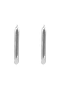 Boucles d'oreilles longues en métal argenté avec une surface lisse et réfléchissante et des bords arrondis, dotées d'un crochet simple pour la fixation.