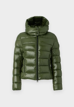 Groene gevoerde jas met hoge kraag, rits aan de voorkant en zijzakken. Glanzende, gladde textuur met een rechte silhouet en horizontale naden.