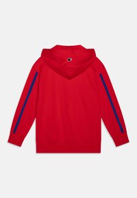 Sweat à capuche rouge avec cordon de serrage, mettant en avant des rayures bleues le long des manches et un logo dans le haut du dos. Texture de tissu douce.