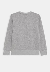 Felpa grigia con maniche lunghe, polsini e orlo a coste, caratterizzata da un tessuto testurizzato e un collo rotondo. Vista posteriore.