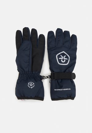 GLOVES WATERPROOF UNISEX - Guanti - total eclipse