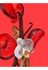 Vanillestokjes, witte orchideeënbloem, kaneelstokjes en verse rode pruimensneden met waterdruppels op een felrode achtergrond.