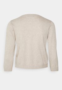 Beiger Pullover mit langen Ärmeln, rundem Ausschnitt und einer weichen, strukturierten Strickware. Der Rücken ist nahtlos und hat eine leicht lockere Passform.