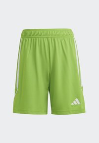 Grüne Sportshorts aus leichtem Material, mit weißen Seitstreifen, einem elastischen Bund und einem kleinen Logo in der unteren rechten Ecke.