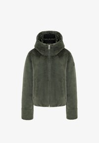 Nije odabrano, green