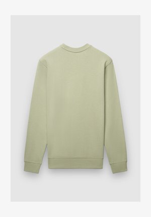 Hellgrüner Pullover mit langen Ärmeln, Rundhalsausschnitt und gerippten Bündchen. Glatte Textur mit minimalistischem Design, ohne sichtbare Logos oder Muster.