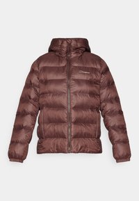 EWDEN  - Žieminė striukė - cedar brown