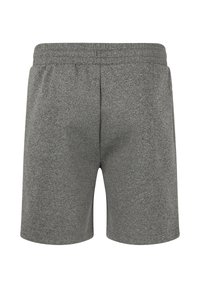Grijze sportshorts met een elastische tailleband en een getextureerde, gemêleerde stof. Geen zakken of accenten zichtbaar op de achterkant.
