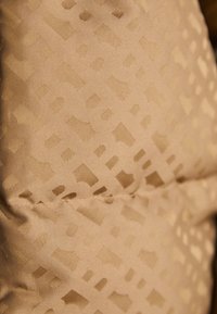 BOSS POLLIMINA - Winter jacket - open beige