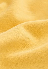 Unausgewählt, yellow boucle dog