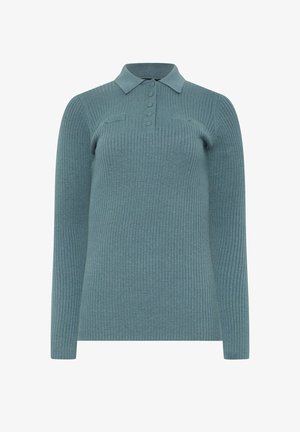 Prążkowany sweter w miękkim odcieniu niebiesko-zielonym, z kołnierzykiem polo i zapięciem na pięć guzików. Długie rękawy z delikatnymi detalami na ramionach.