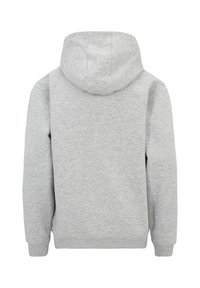 Fila APPAREL LONTRAS - Huppari - light grey melange