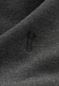 Next STANDARD - Sweat à capuche - charcoal grey