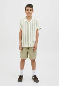 Kortärmad, skjortärmad skjorta med ljusgröna och vita ränder, tillsammans med khaki cargoshorts. Bruna sneakers med vita strumpor.