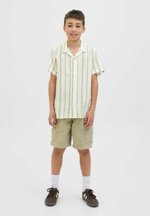 Camisa de manga corta con cuello, de rayas verde claro y blancas, combinada con pantalones cortos tipo cargo color caqui. Zapatillas marrones con calcetines blancos.