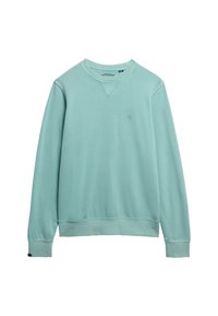 Licht teal sweatshirt met een V-hals, lange mouwen, ribgebreide manchetten en onderrand. Bevat een klein geborduurd logo op de borst. Zacht katoenmateriaal.