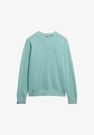 Sudadera de un suave tono verde azulado con escote en V, mangas largas y puños y dobladillo acanalados. Presenta un pequeño logo bordado en el pecho. Tejido de algodón suave.