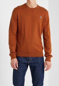 Rust-colored sweater in soft fabric with a round neckline, long sleeves, and ribbed cuffs, featuring a small embroidered design on the chest.