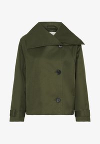 Izbrano, beetle green