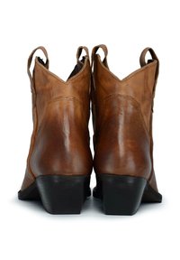 Stivali ankle in pelle marrone con colletto a V, doppi tiranti e tacco impilato. Presentano una texture liscia e dettagli di cucitura minimi.