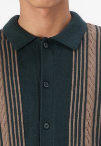Polo shirt verde lavorato a maglia con strisce verticali beige a contrasto e motivi a treccia, dotato di colletto classico e bottoni neri.