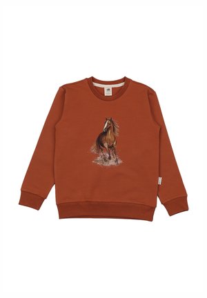 Rostfarbener Pullover mit einem galoppierenden braunen Pferd, das vorne Wasser spritzt, Rundhalsausschnitt und lange Ärmel.