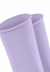 Esprit BASIC PURE 2-PACK - Socken - lupine