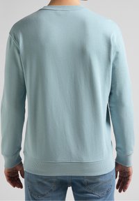 Felpa in cotone azzurro chiaro con maniche lunghe, polsini e orlo a costine, texture liscia e scollo rotondo, vista posteriore.