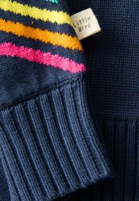 Pullover lavorato a maglia con base blu navy, caratterizzato da righe multicolori in rosa, giallo e arancione. Include un'etichetta con "Little Bird." Polsini a coste.