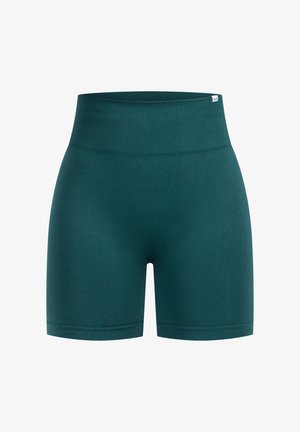 Teal højtaljede shorts lavet af glat, strækbart stof. Har en ribbet talje og rene linjer, uden synlige mønstre eller hardware.