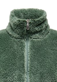 Green high-pile fleece jacket with a full front zipper and a stand-up collar, shown from the chest up.